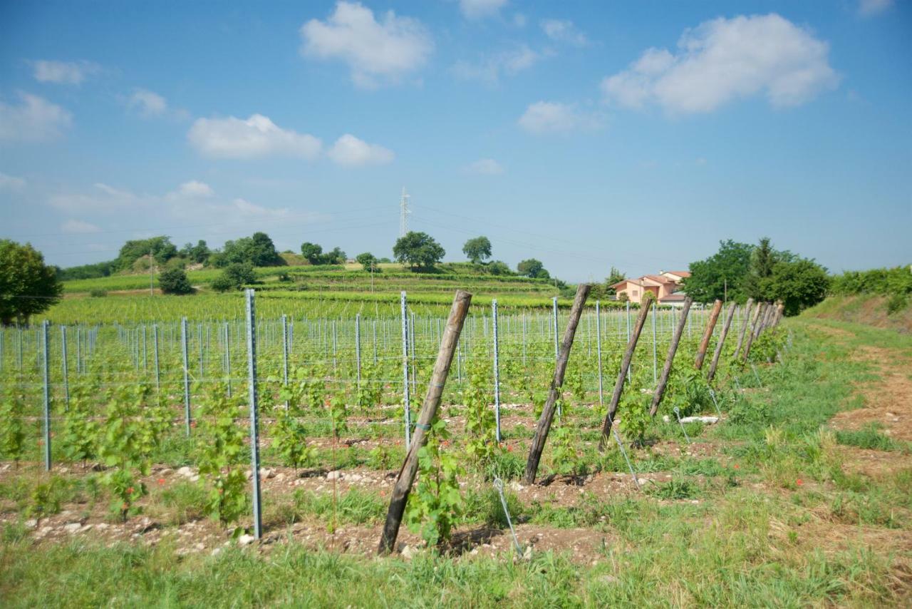 Agriturismo Albarello Sona Kültér fotó