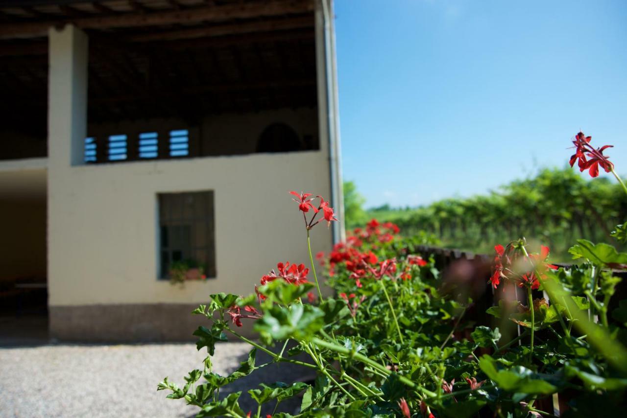Agriturismo Albarello Sona Kültér fotó