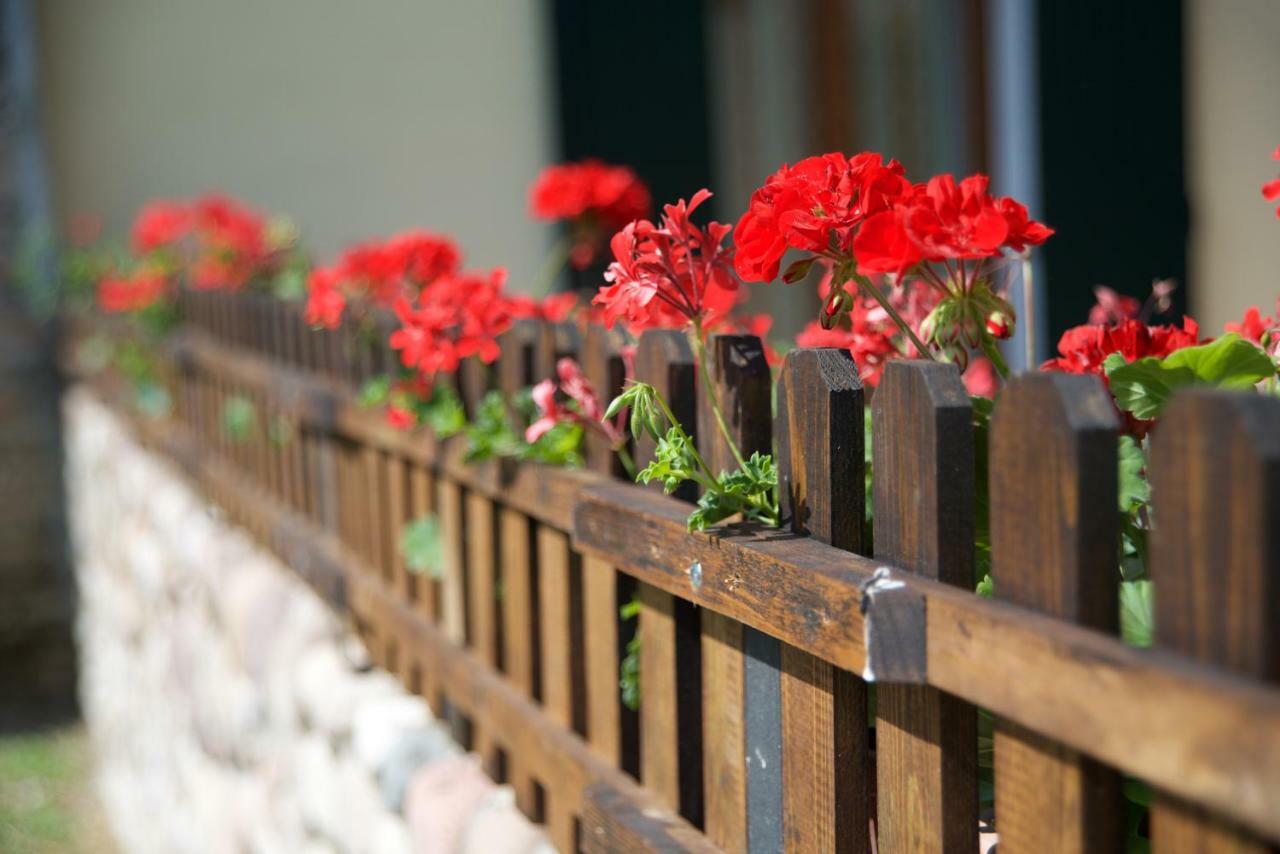 Agriturismo Albarello Sona Kültér fotó
