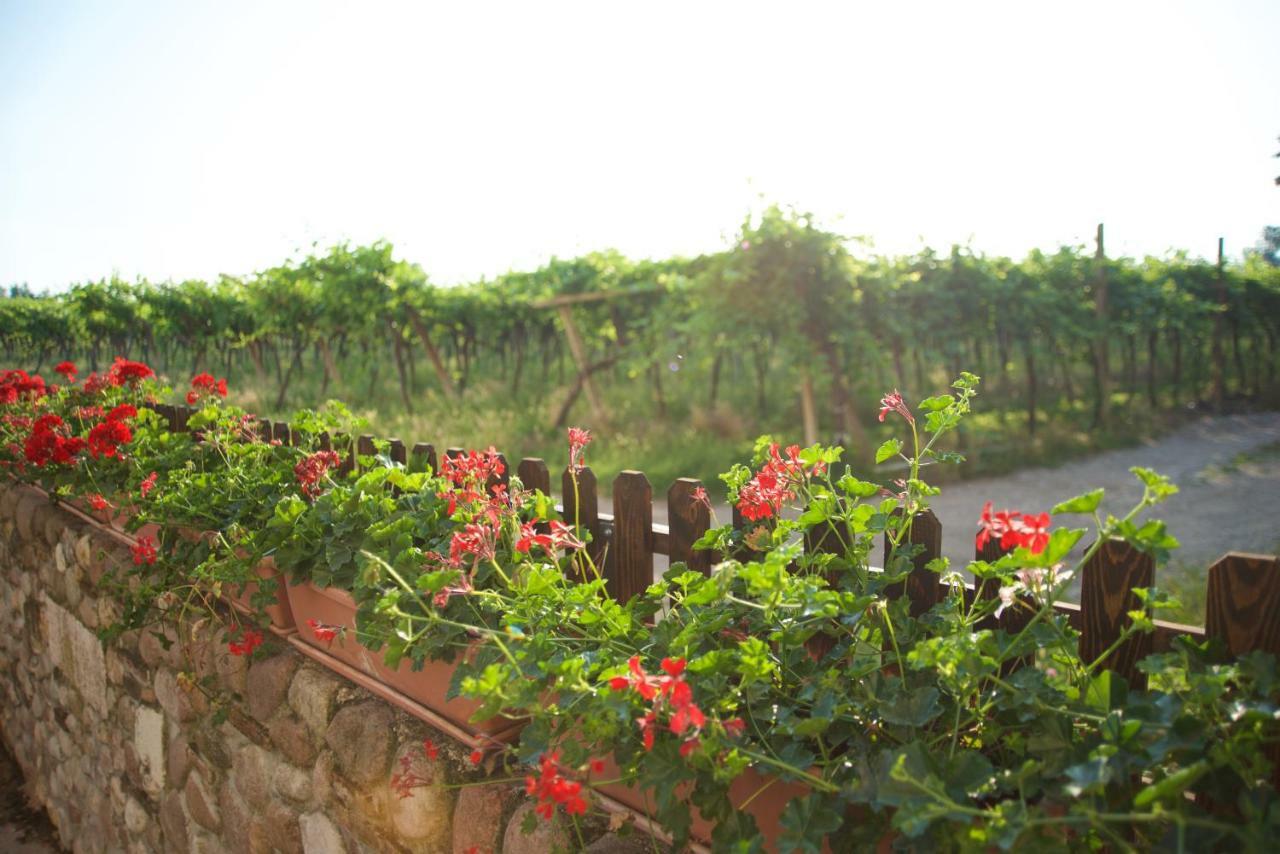Agriturismo Albarello Sona Kültér fotó